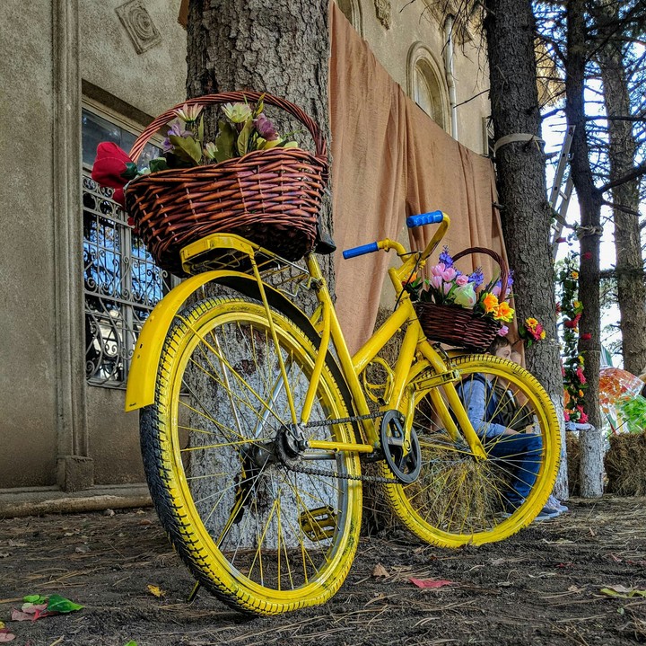 velo