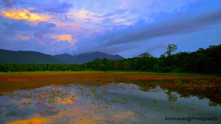 colors of the nature