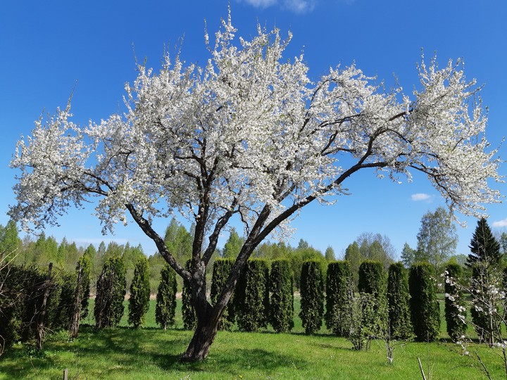 Lithuania