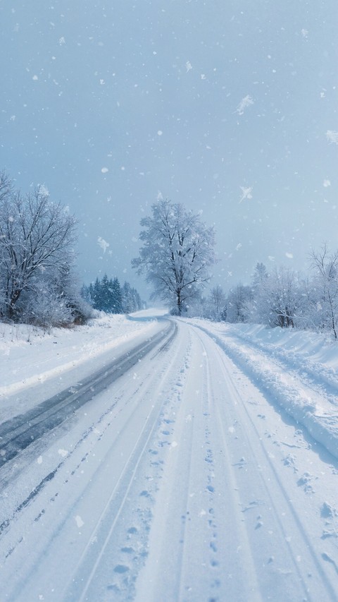 ταπετσαρίες winter, frost