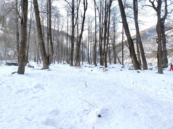 White snow