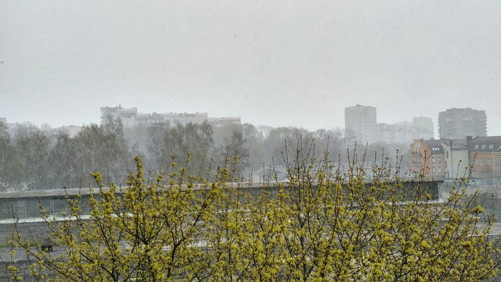 the snow