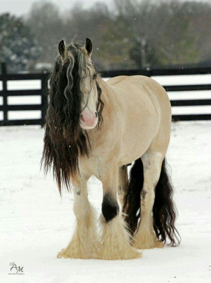 cute ..