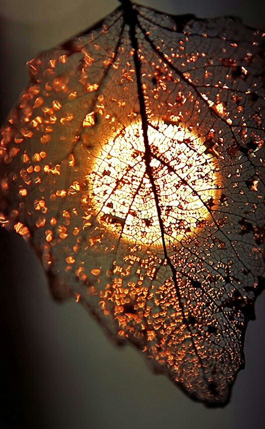 SO BEAUTIFUL