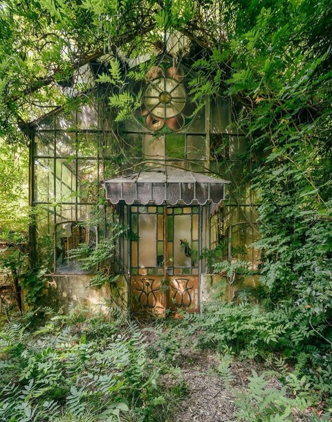 тапети vegetation, design