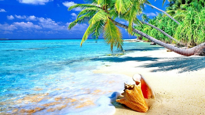playa