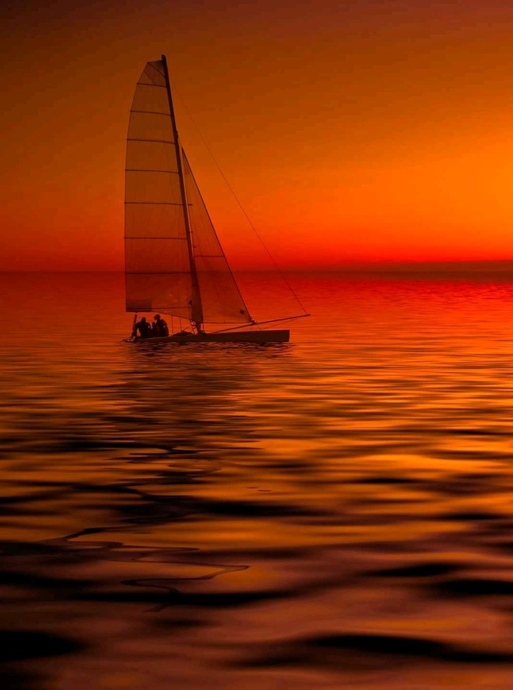 sailor