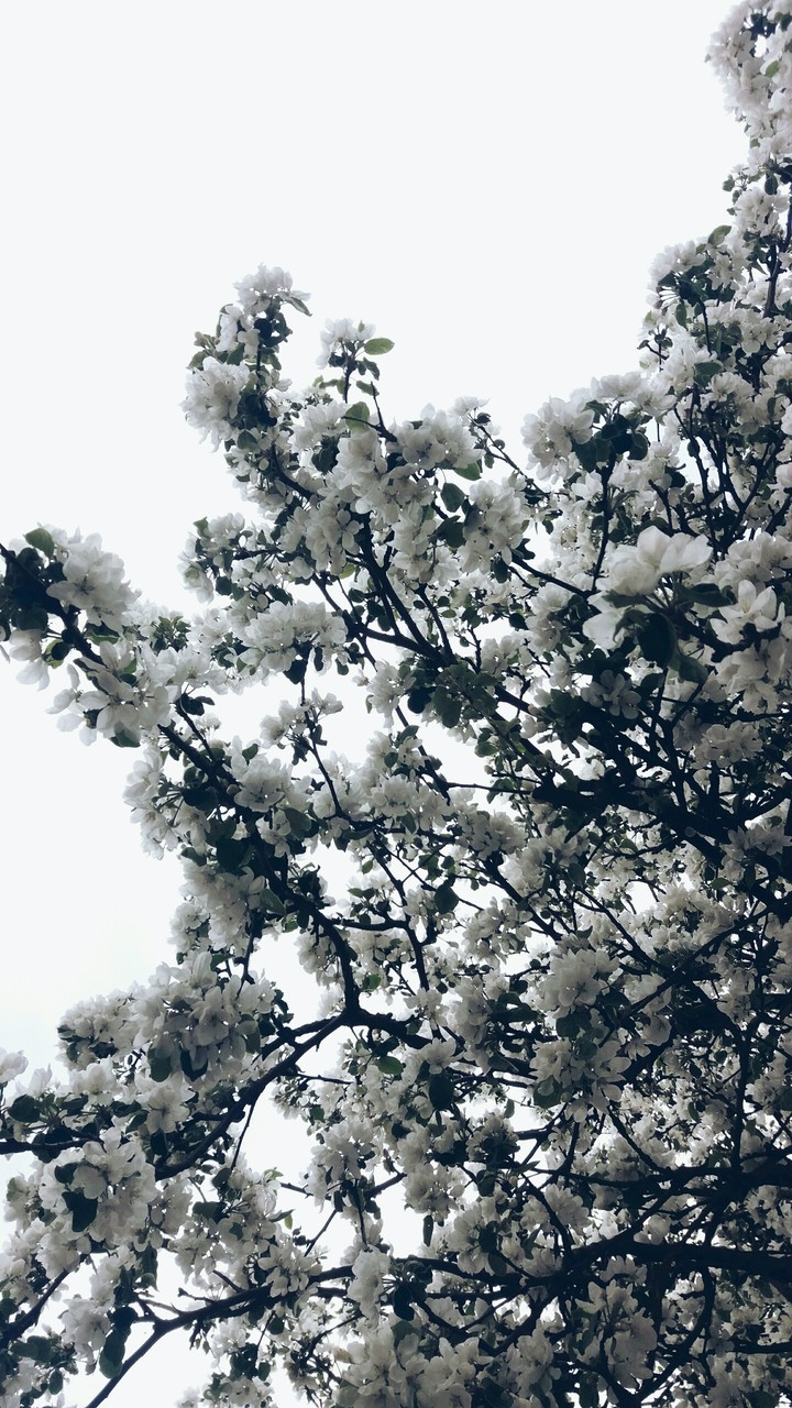 ●●●●●