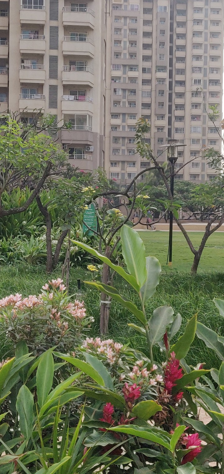 organic jungle