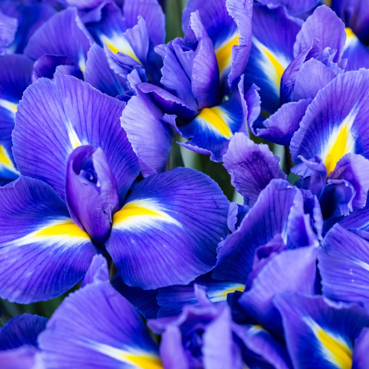 #like blue aqua#
