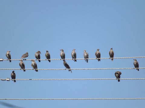 The meeting
