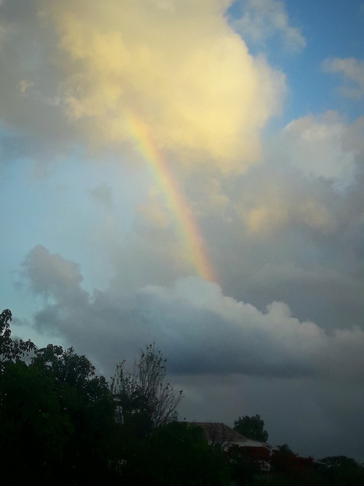 arcoiris