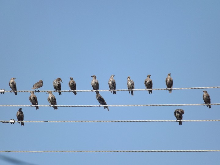 The meeting