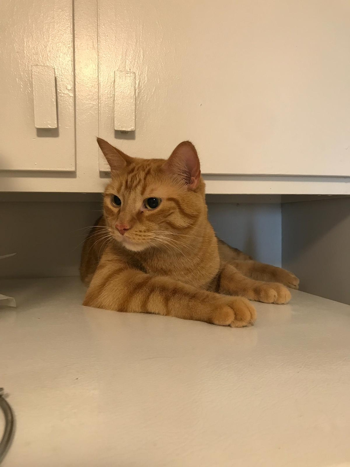 my personal space