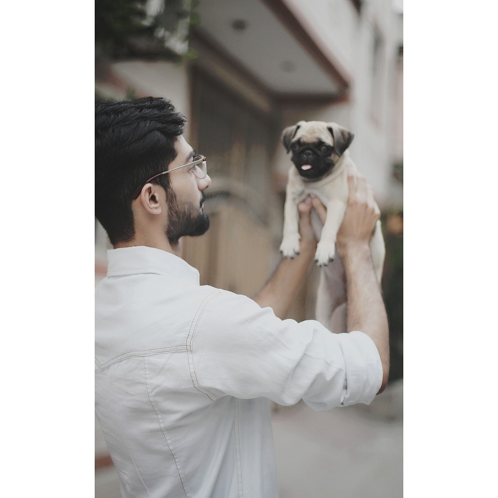dog love