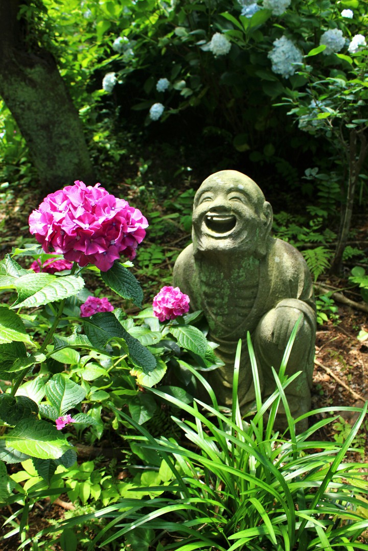 ajisai-dera
