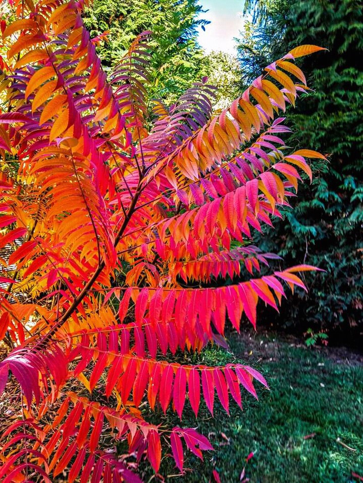 #autumn
