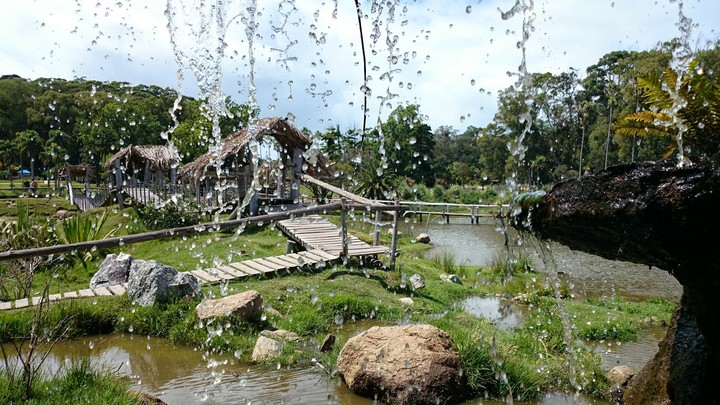 GOTAS DE AGUA