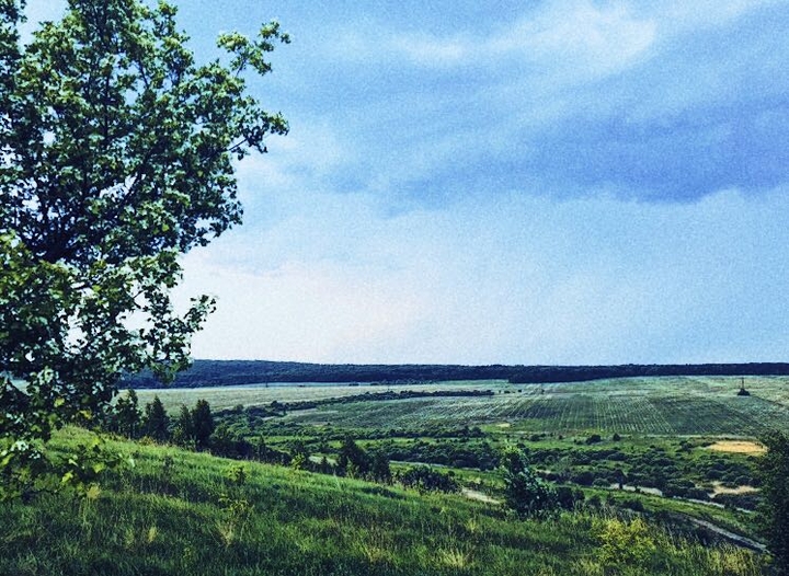 nature