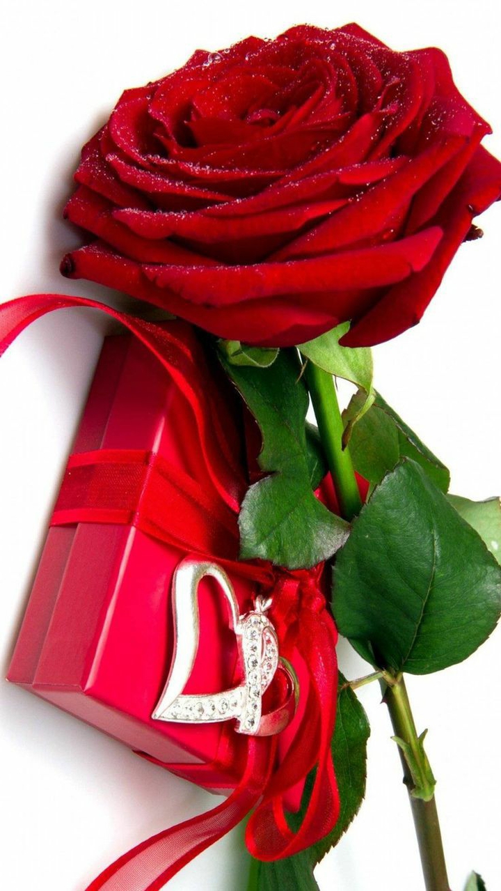 rose day