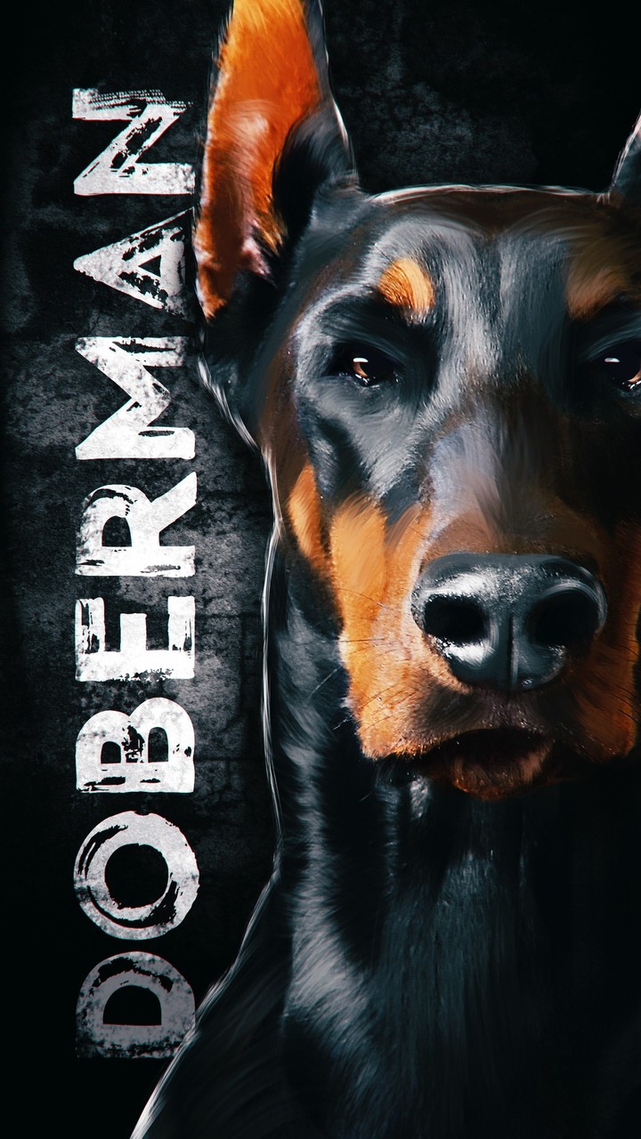 Love Doberman♥️