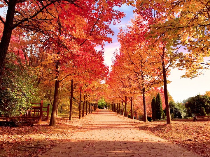 Autumn