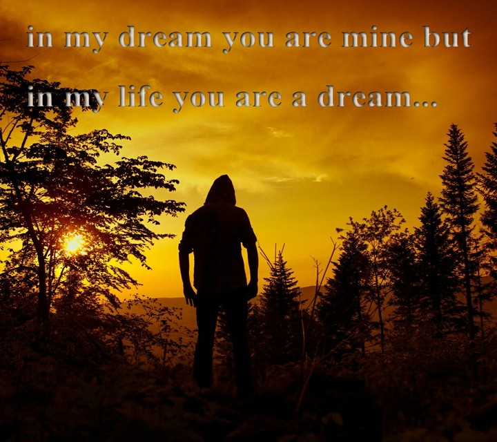 dreams
