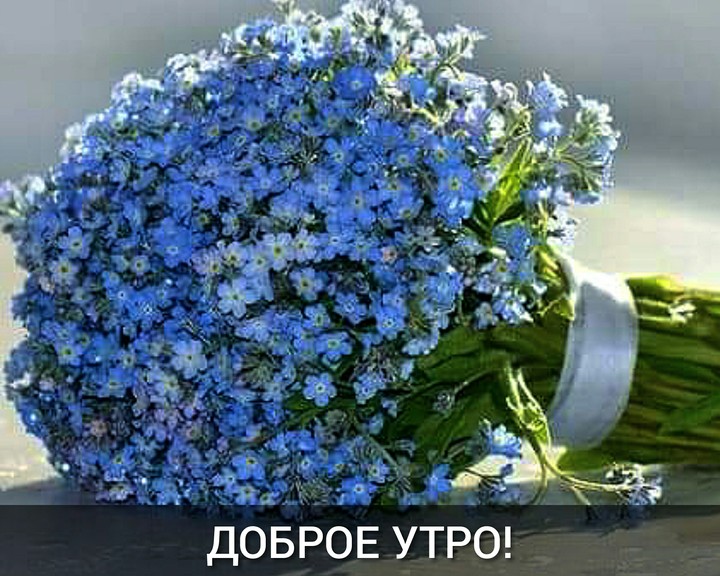 Доброе утро