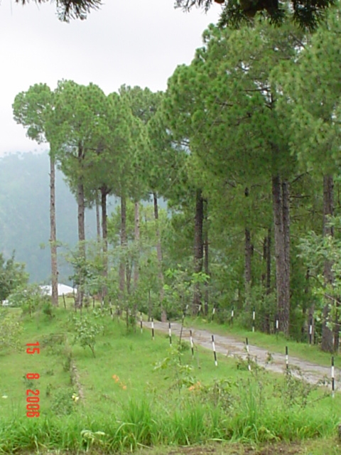 Dewra jee