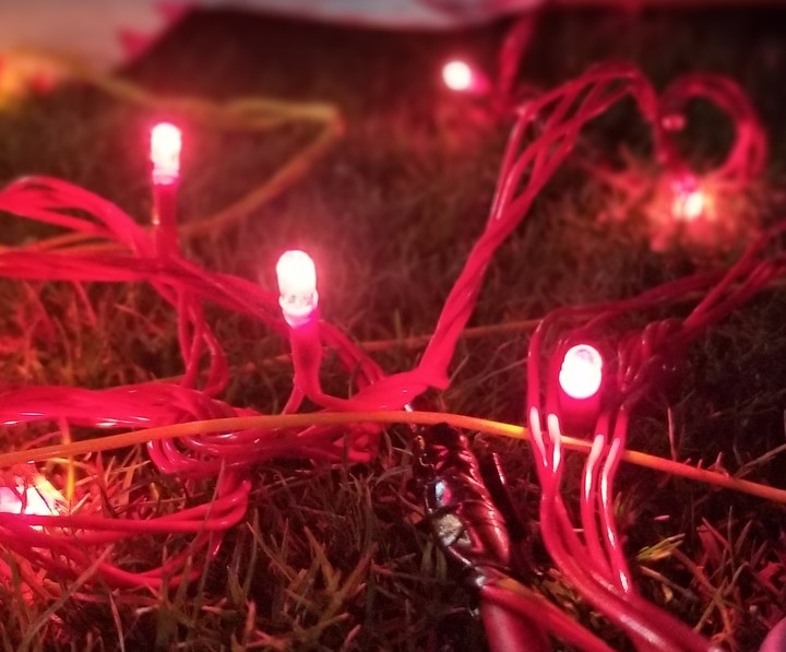 lights#festival#garden#night#mobilephotography ❤️❤️