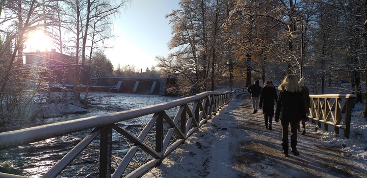 Winter walk