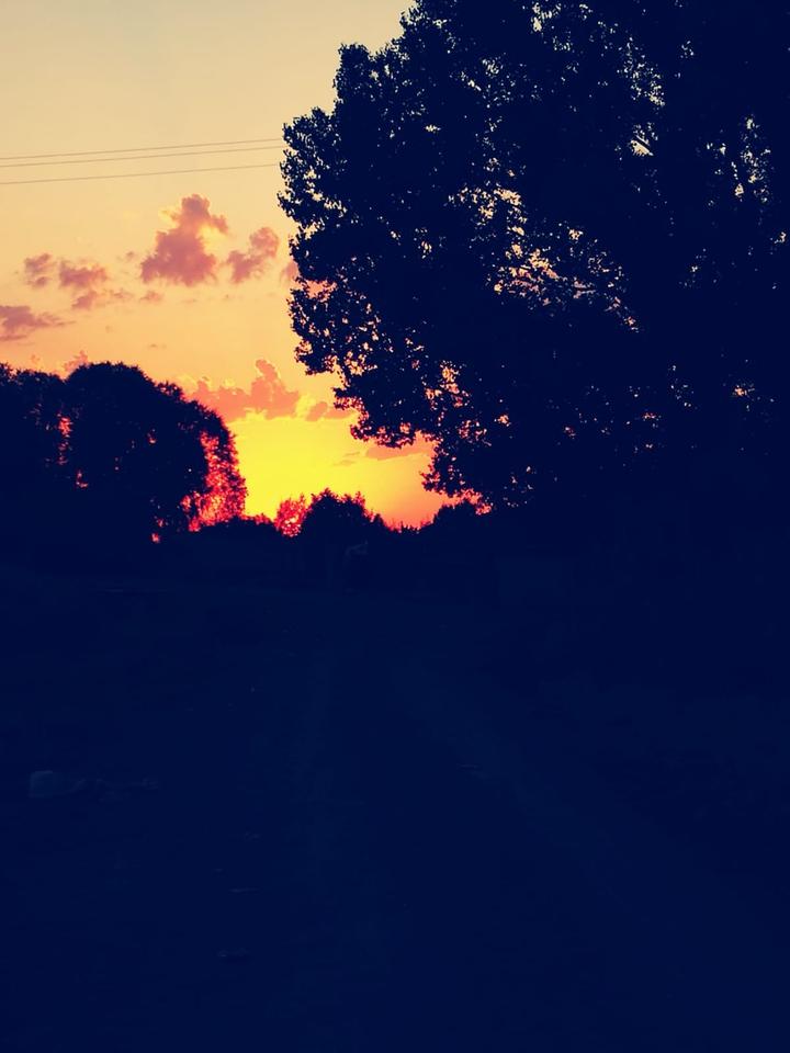 sun