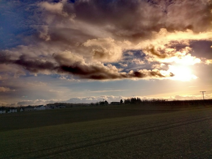 Auf dem Feld