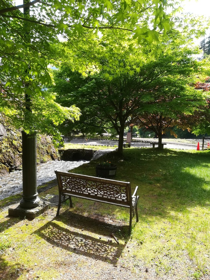 散歩道