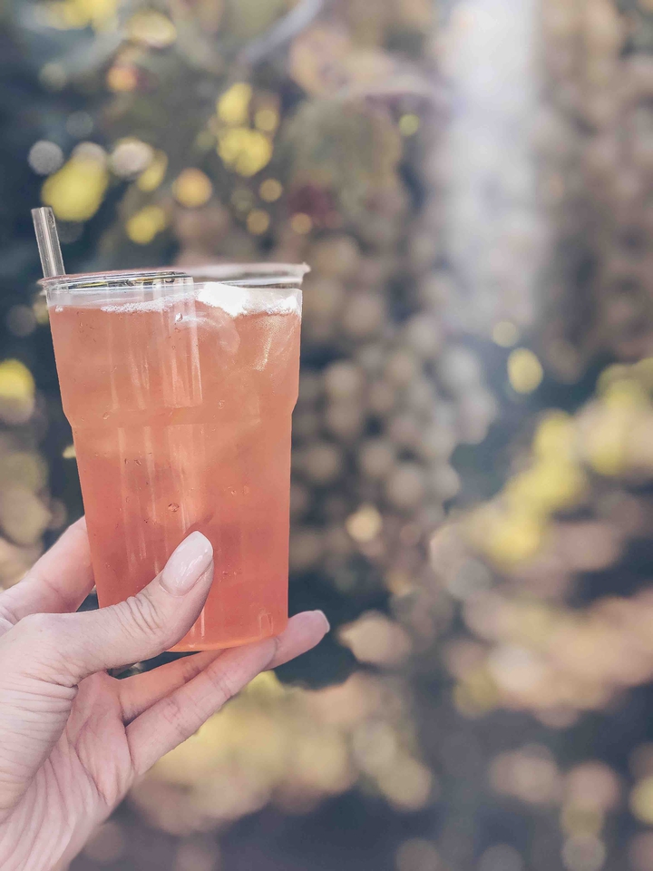 cup of aperol spritz