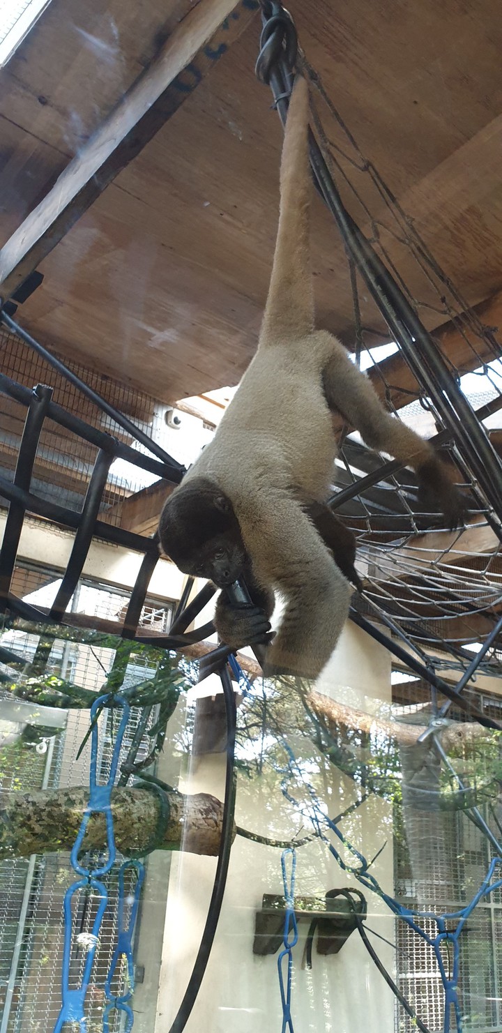 just hanging around
