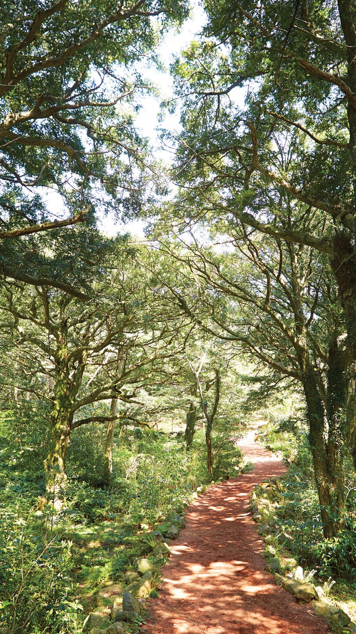 Road