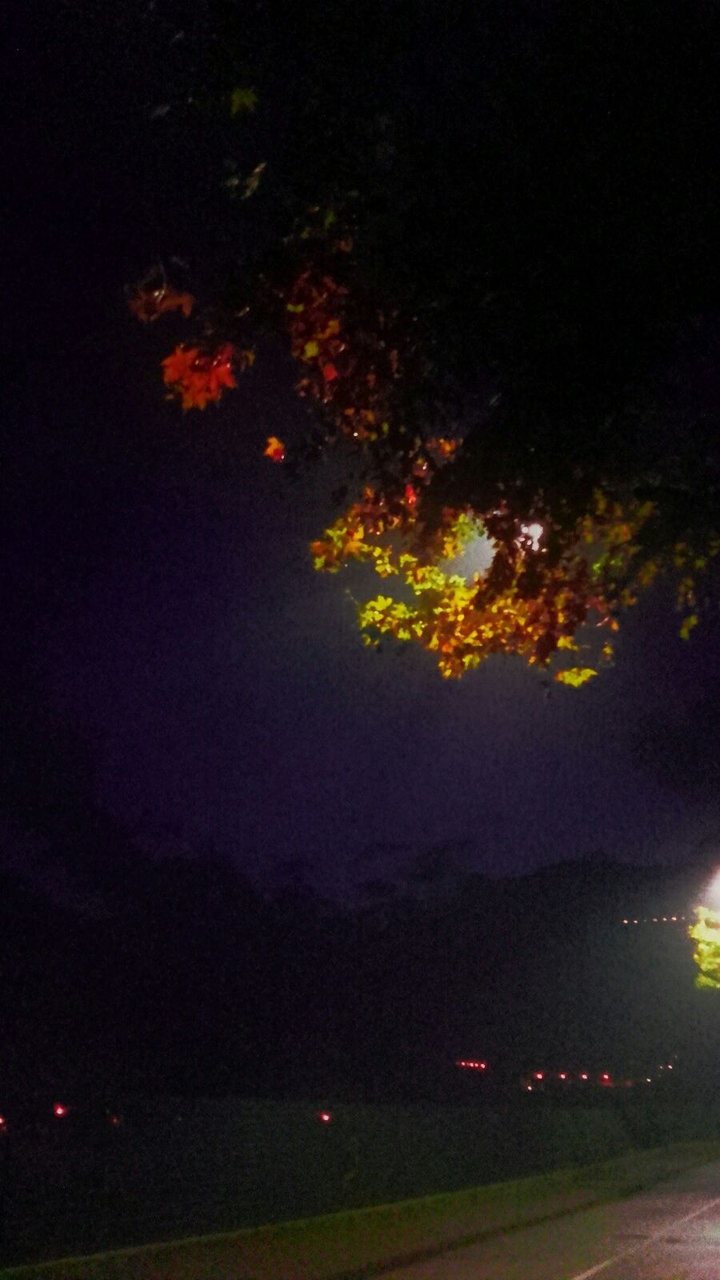 Lonely Night