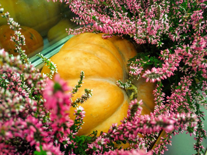 Autumn