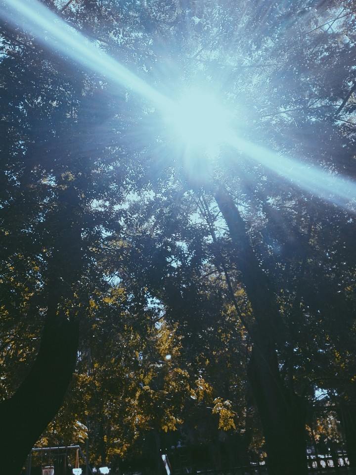 I can see the light
