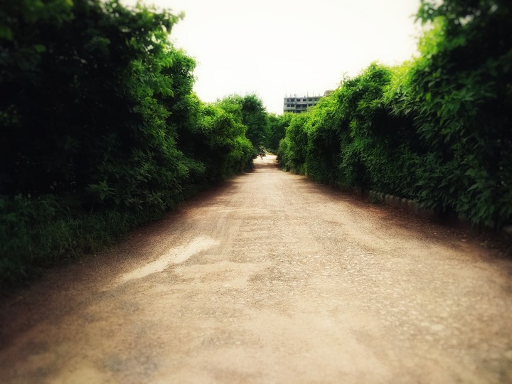 Pathway to heaven