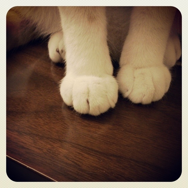 cute foot