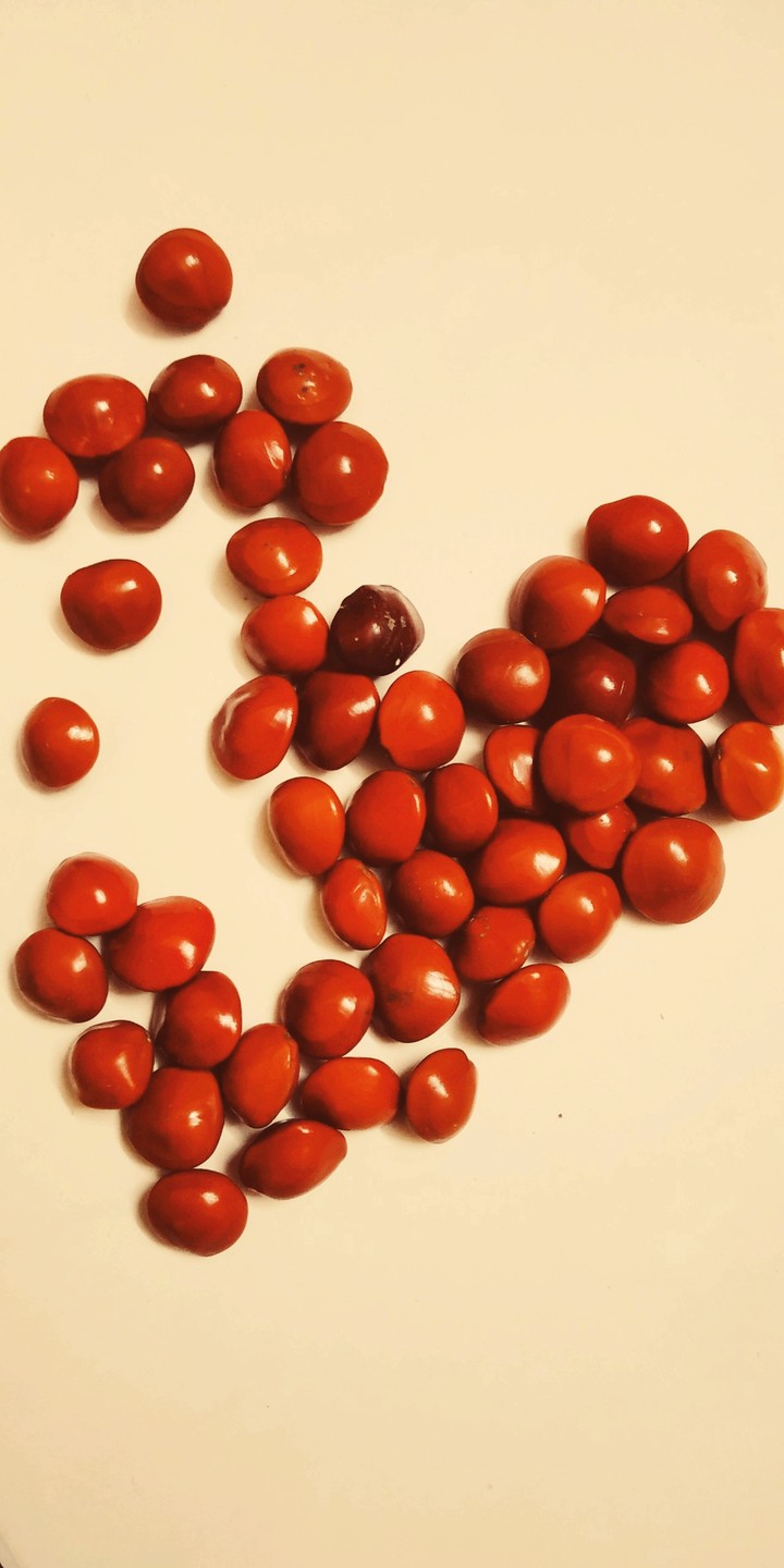 Seed