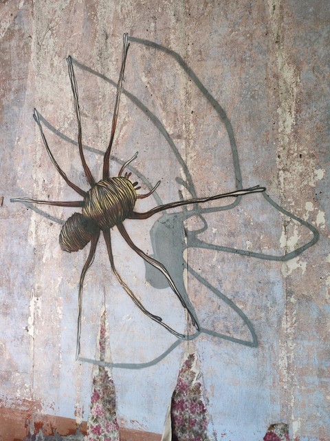 sfondi twig, spider