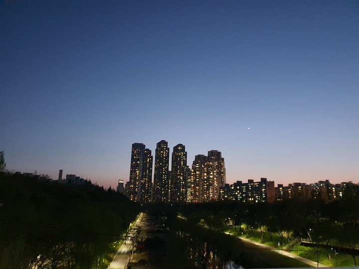 양재천 야경