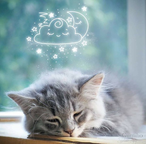 sleepy