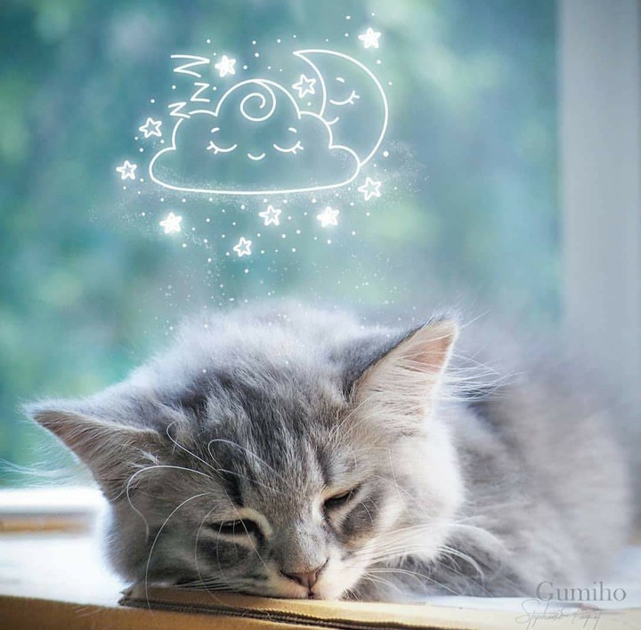 sleepy