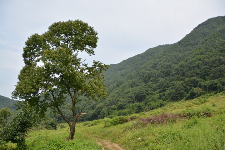 풍경이미지
