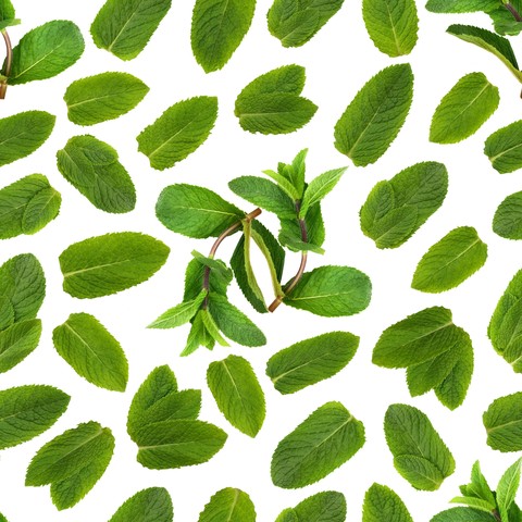 leaf, herb háttérképek
