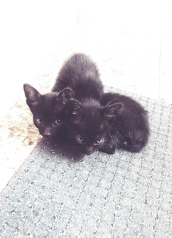 Sisters
